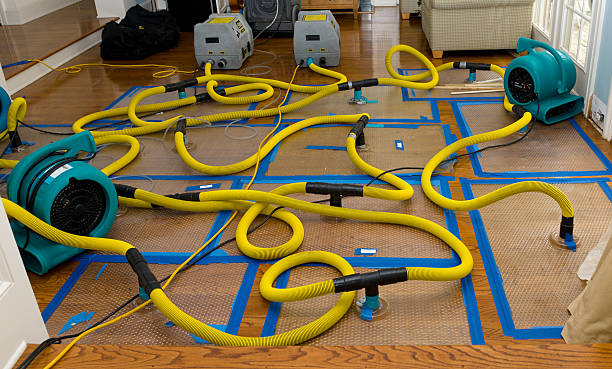 Professional Flood Damage Restoration technician working in Harlem, FL